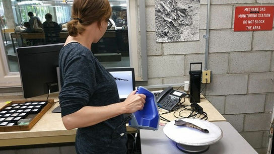 3D scanning at La Brea Tar Pits with Artec Space Spider