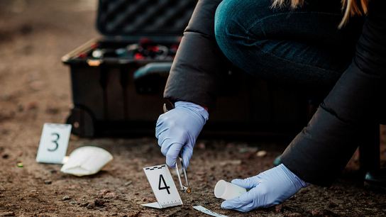 3D scanning tested against photography in a study on forensic methods
