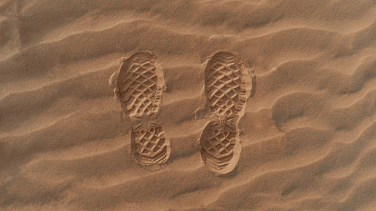 Artec 3D scanners help police identify footprints at crime scenes