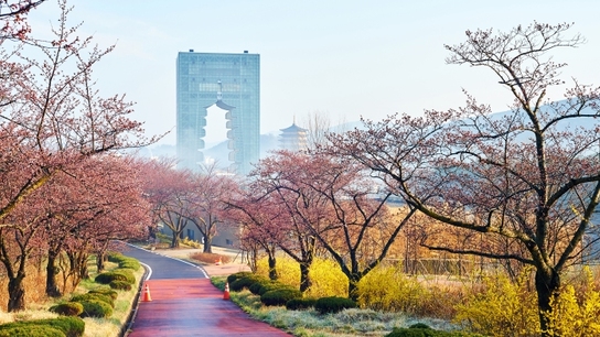 Korean culture meets Artec 3D technology in Korea