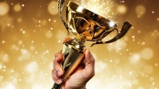 Artec 3D claims the top spot at the 2019 3D Printing Industry Awards! 