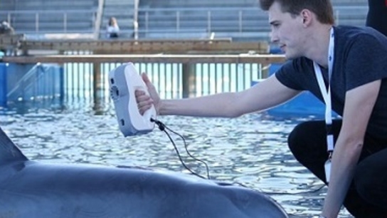 3D Scanning with Artec Eva for state-of-the-art marine animal tracking