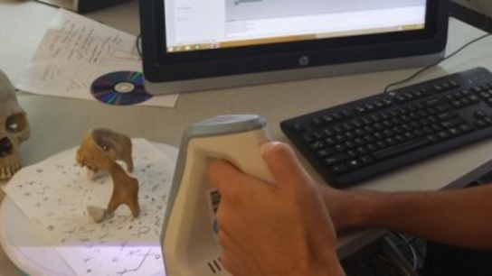 Interactive skull museum: A fun take on studying fossils