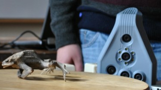 Threeding.com and Artec 3D add animal anatomy models to 3D printing marketplace