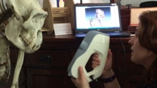 Anatomical 3D visualization: Scanning bones to reconstruct the appearance of people and animals