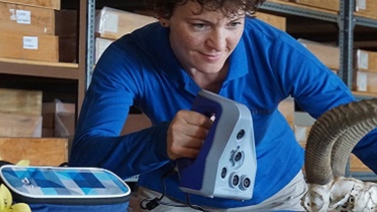 3D scanning in extreme conditions of African desert: A novice’s success story