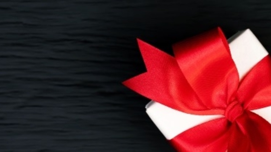 Artec’s new software in time for Christmas