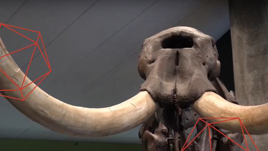 Preserving paleontological treasures of the Ice Age with Artec Space Spider