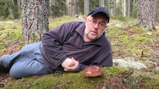 Creating a mushroom catalog with Artec 3D scanners