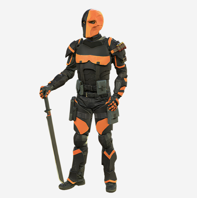 Cosplayer