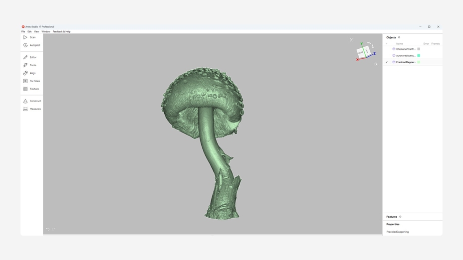 Amazon Giant Mushrooms