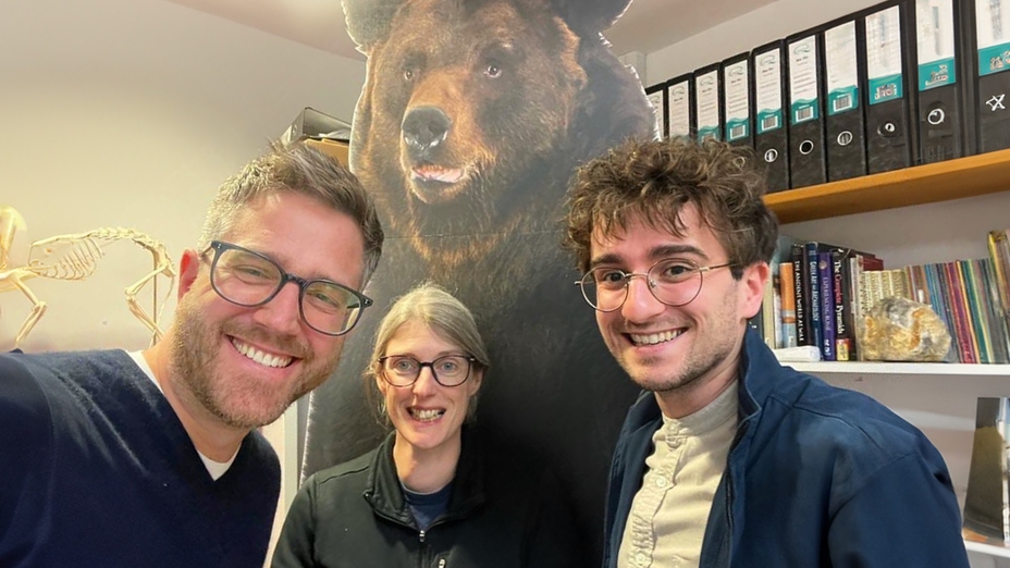 Box Office Bears