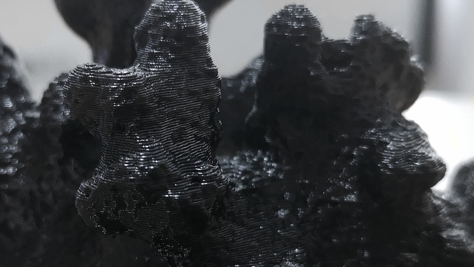 Coral scanning