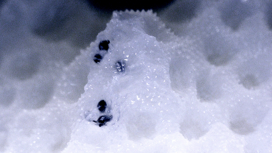 Coral scanning